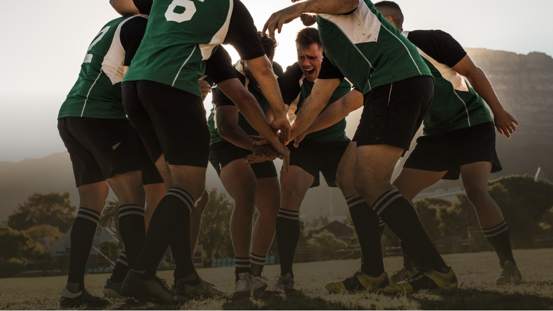 high performance rugby socks nz for teams